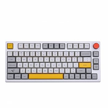 Amazon | EPOMAKER Theory TH80 Pro 75% ホットスワップ対応 RGB